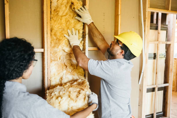 Insulation Contractors for Homes in Conway, FL